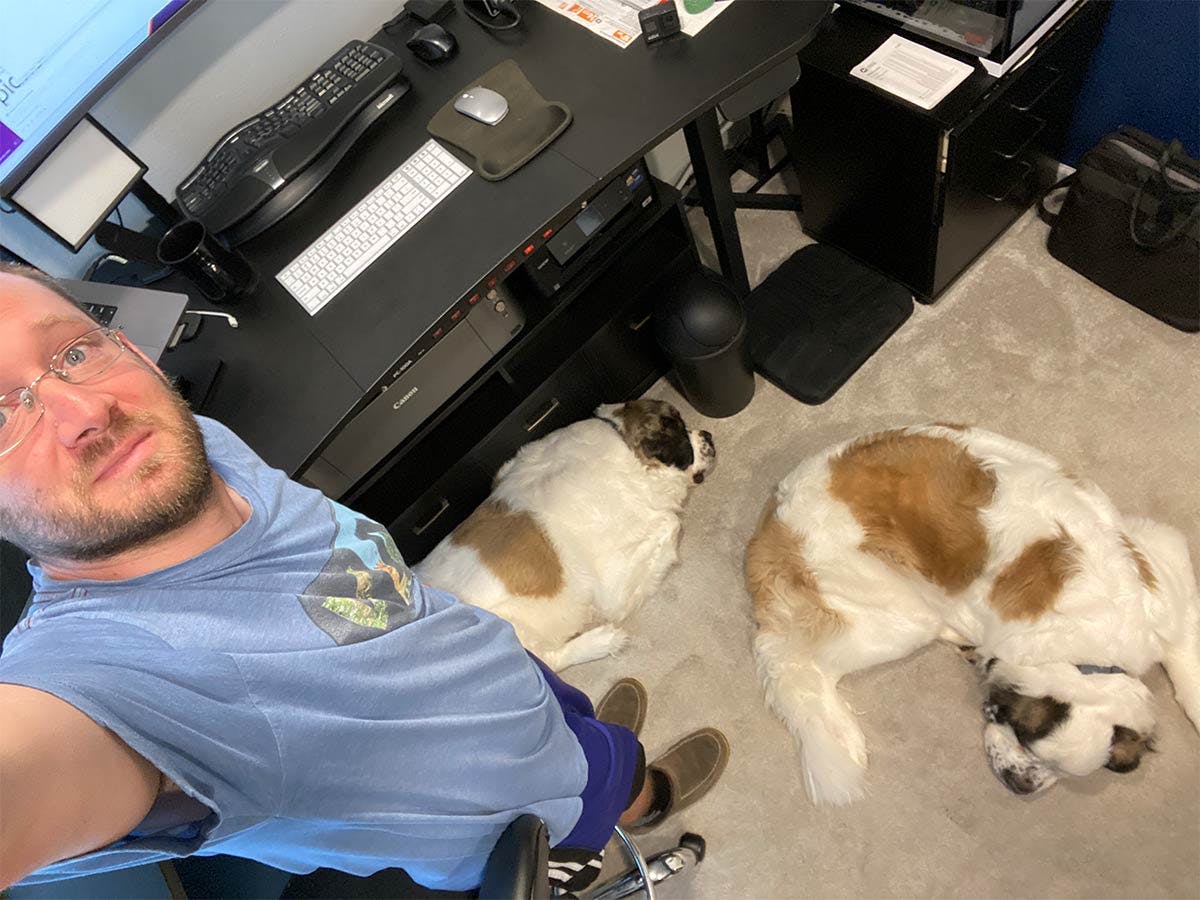 Photo of Mission Mike and his two office dogs, Maximus and Magnus lying on the floor in front of the desk.