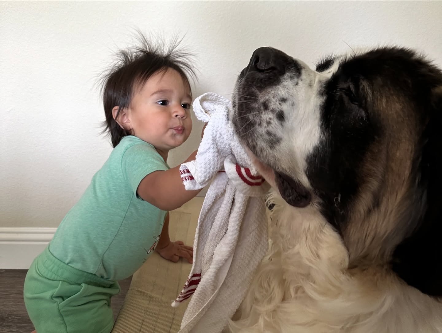 Cleaning Max's mouth